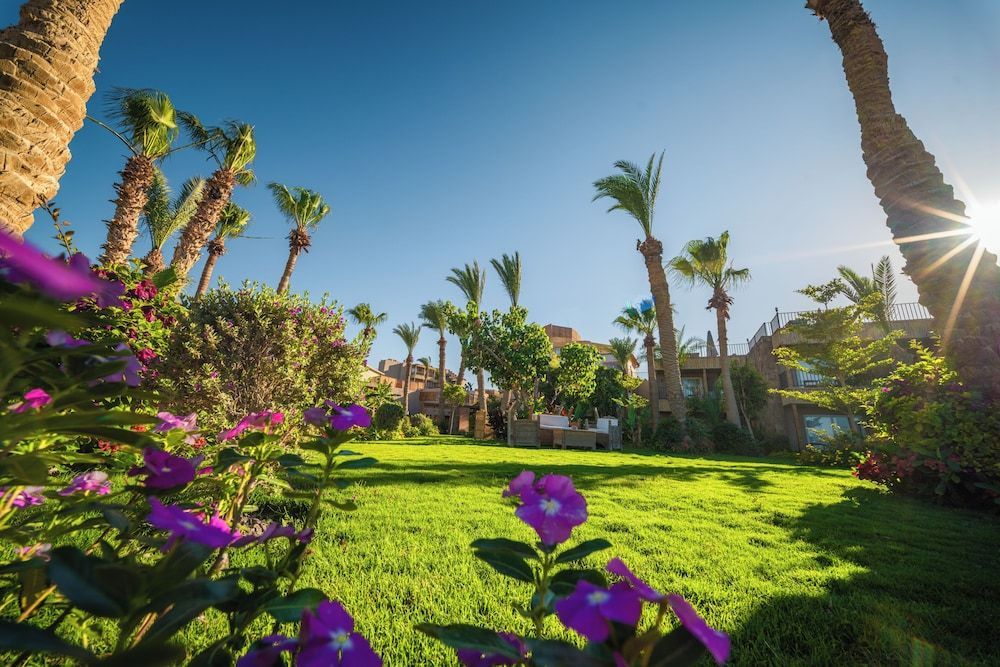 ananea Hurghada – Adults Only 1