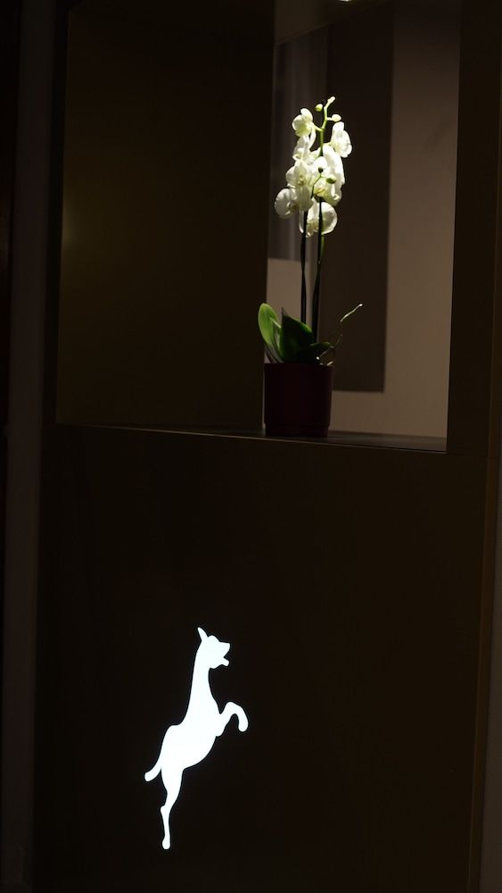 Locanda Del Lupo 2
