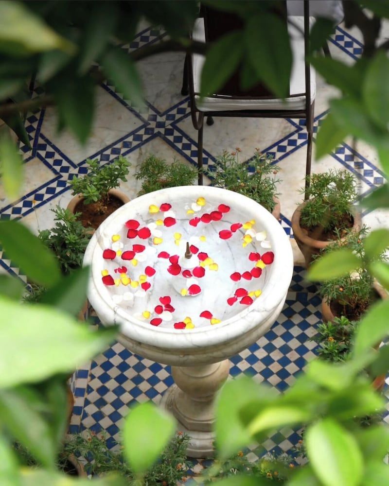 Riad Zouhour 1