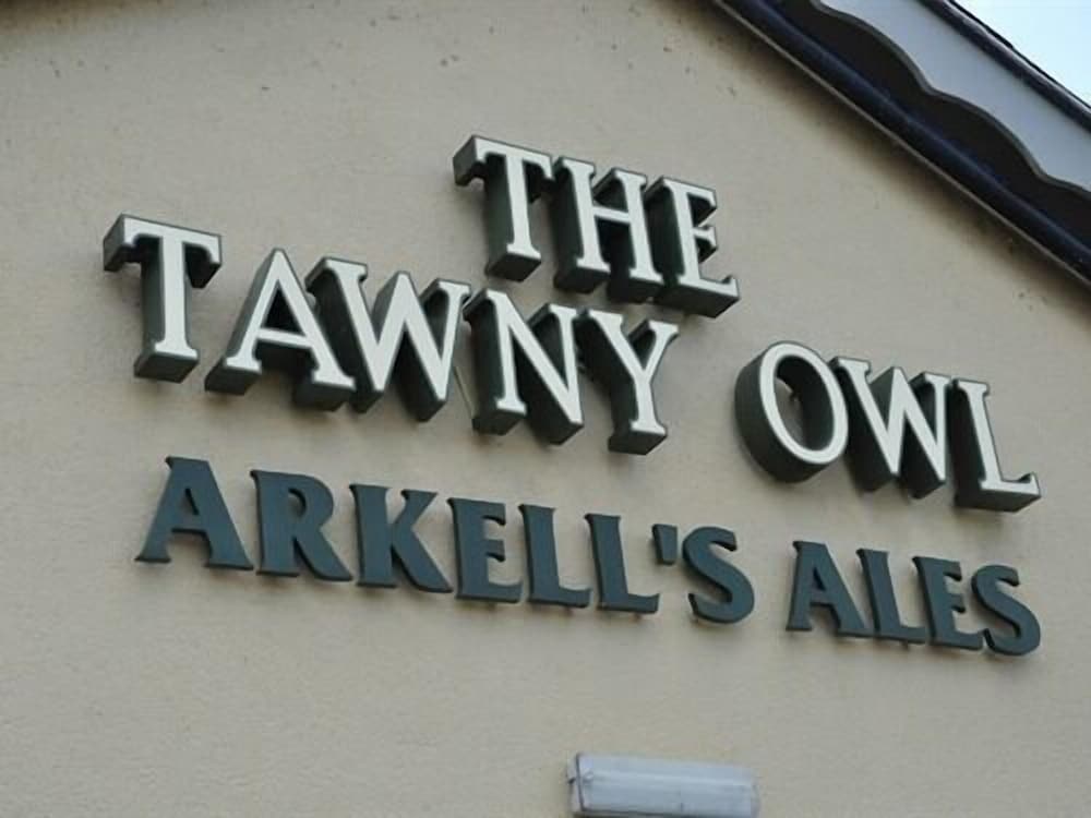 The Tawny Owl 1