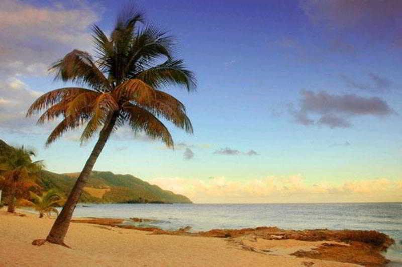 Carambola Beach Resort 2