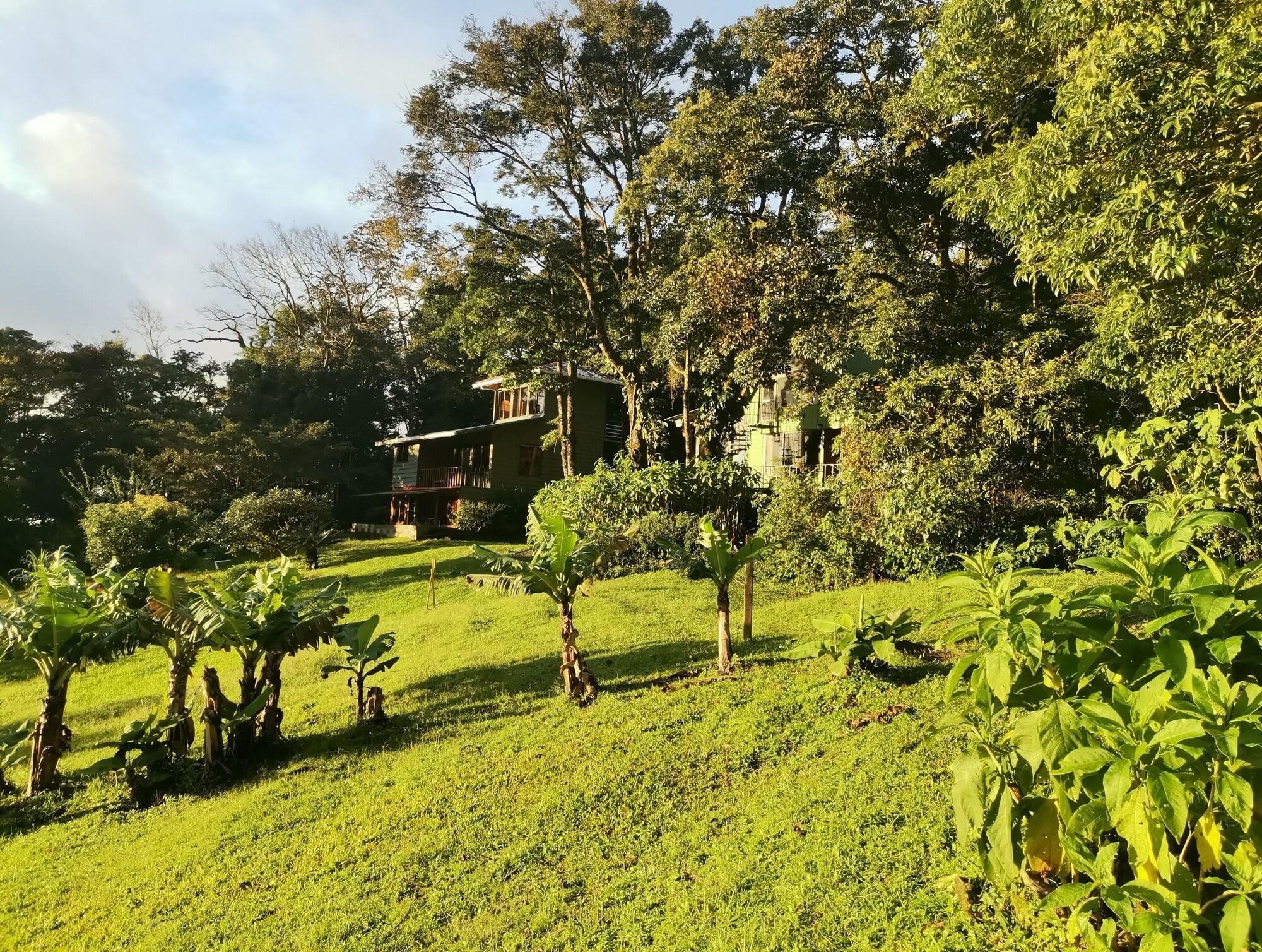 Hotel Flor de Bromelia 2