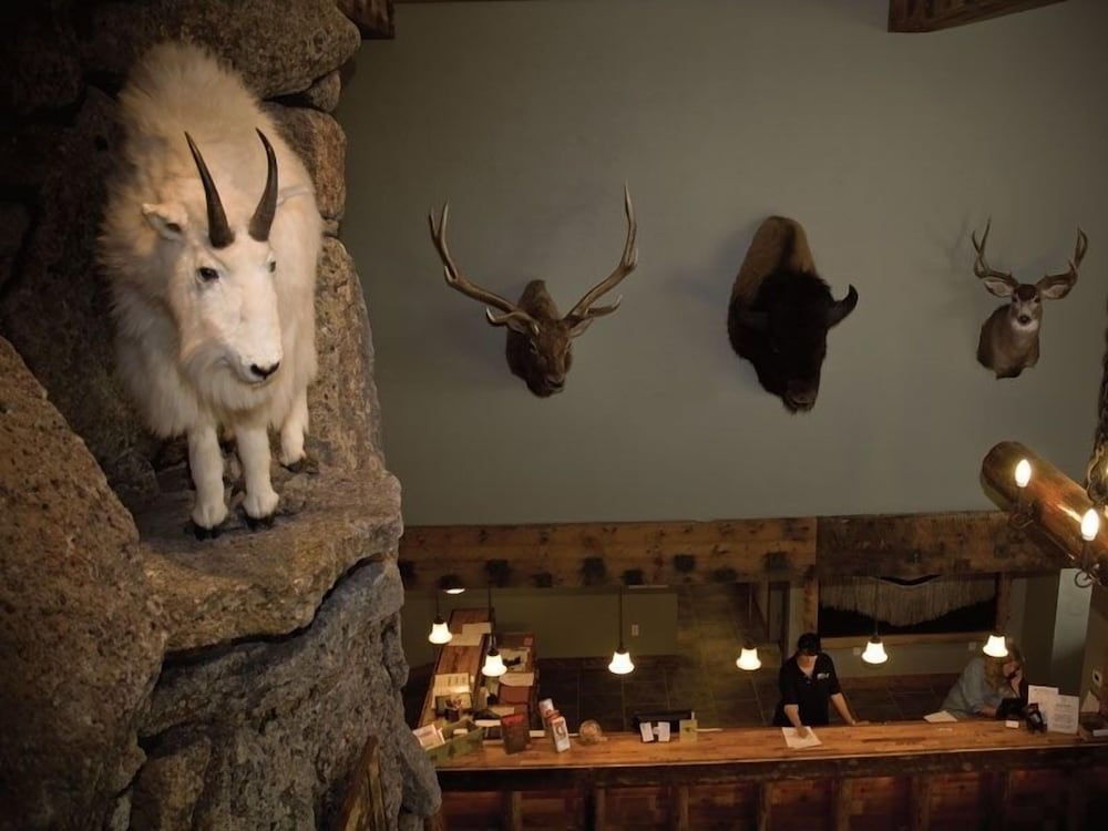Three Bear Lodge 2