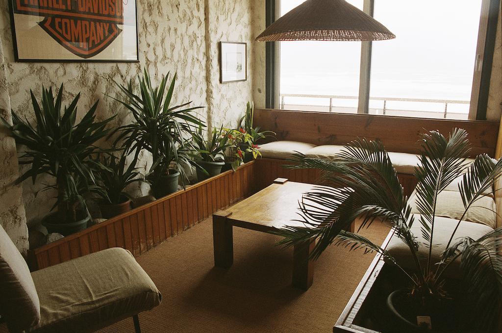 Carlina Lodge 1