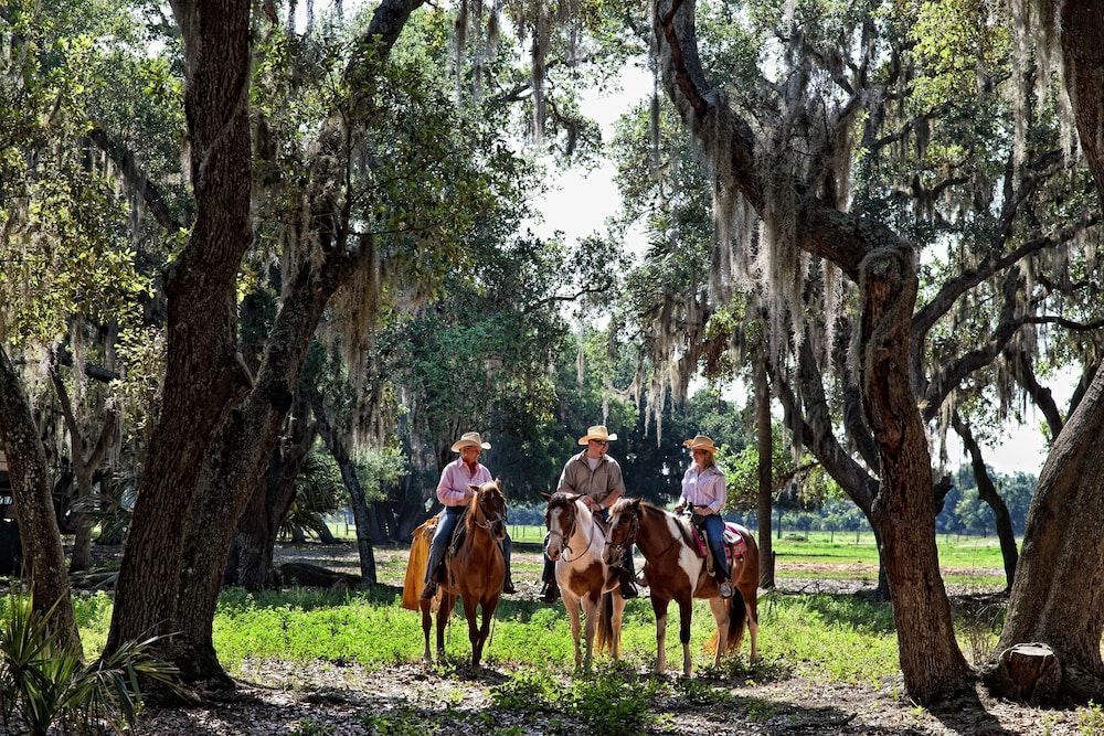Westgate River Ranch Resort & Rodeo 1