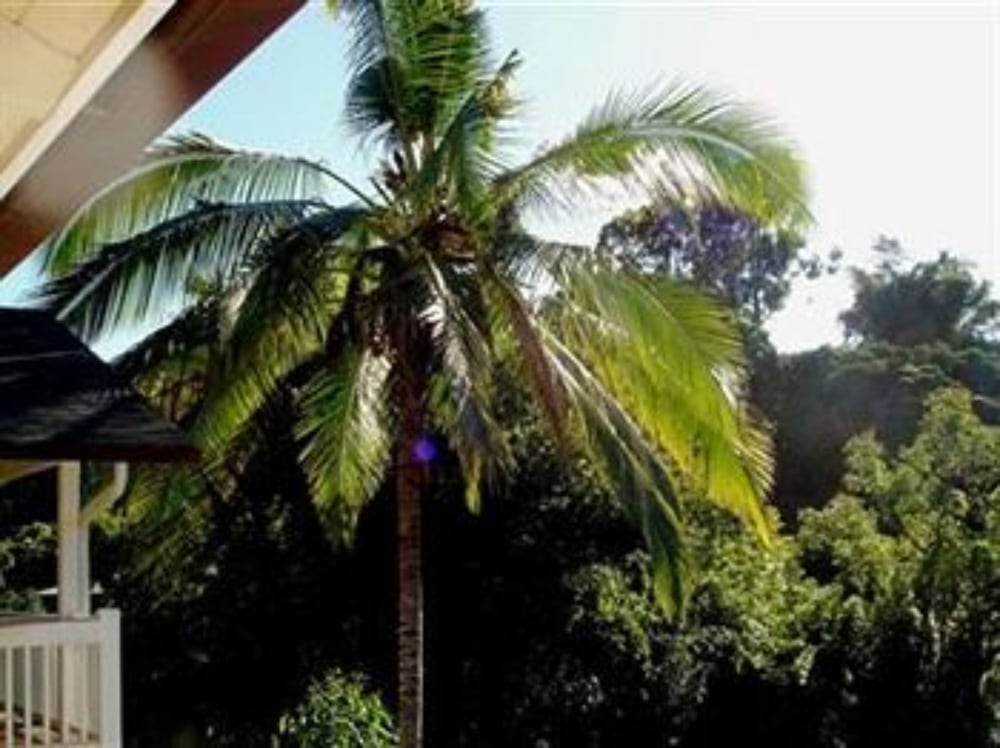 Bamboo Valley Inn 1