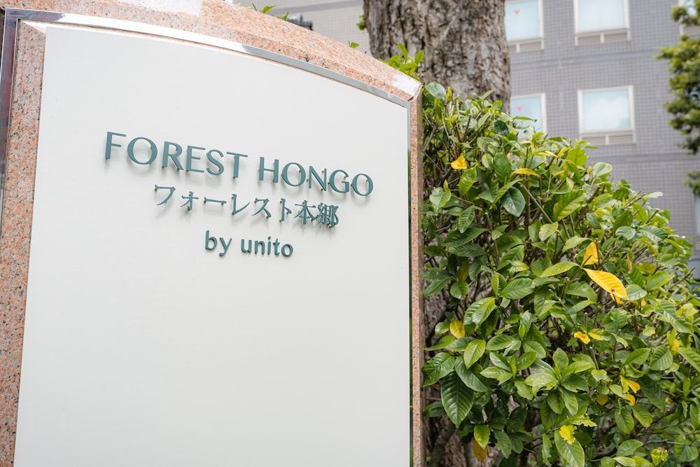 Forest Hongo by unito 1