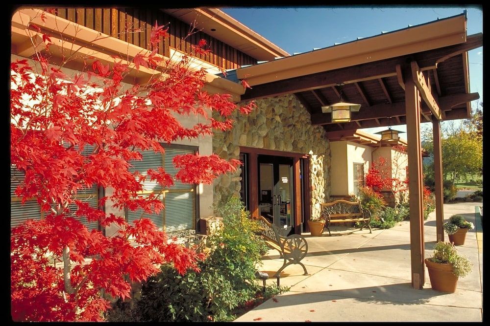 Mount Shasta Resort 1