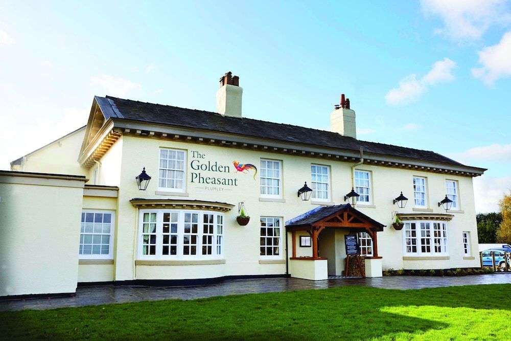 The Golden Pheasant 1