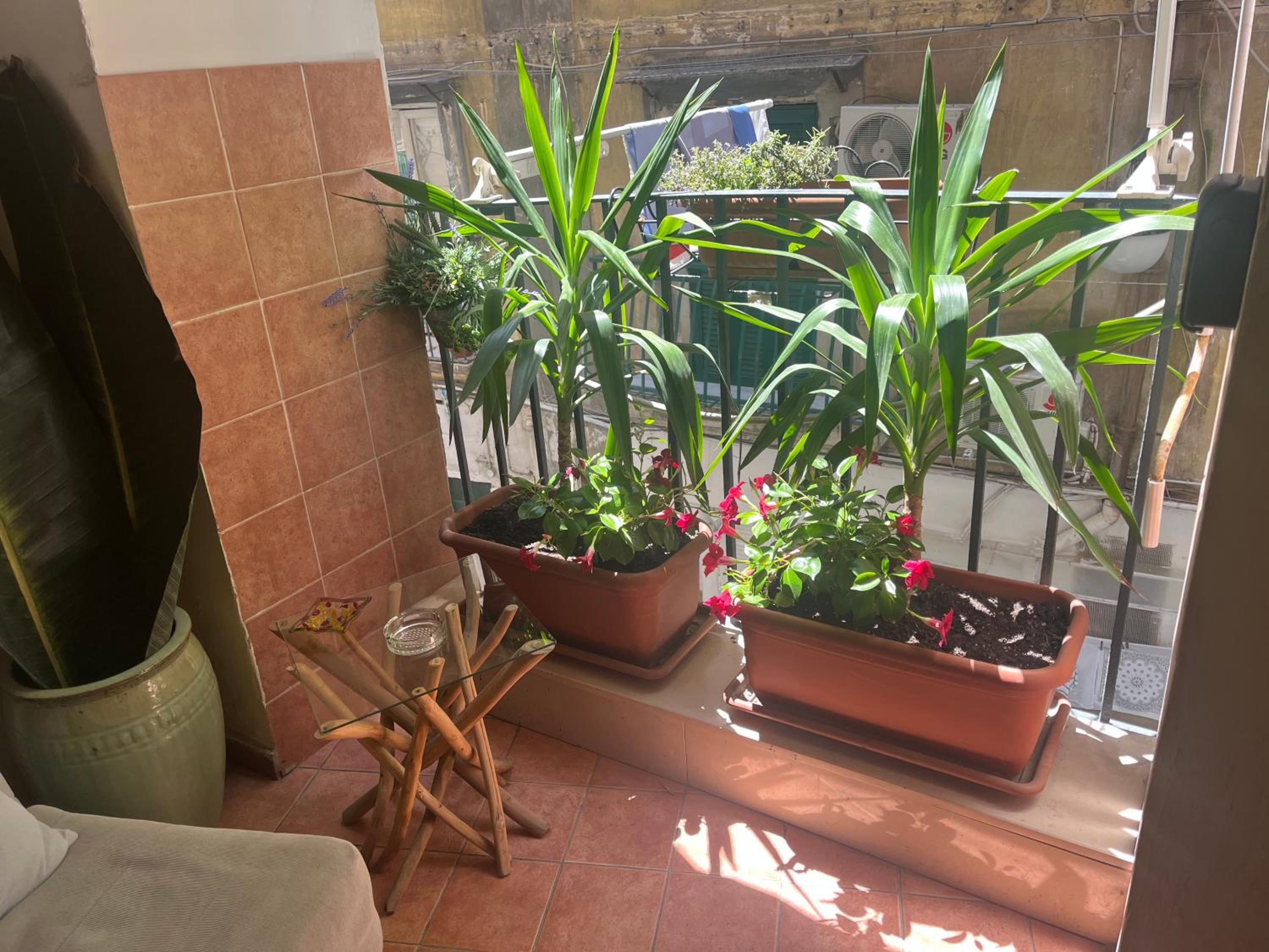 B&B Vicoli di Napoli 2