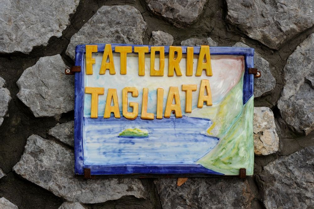 Fattoria La Tagliata 1