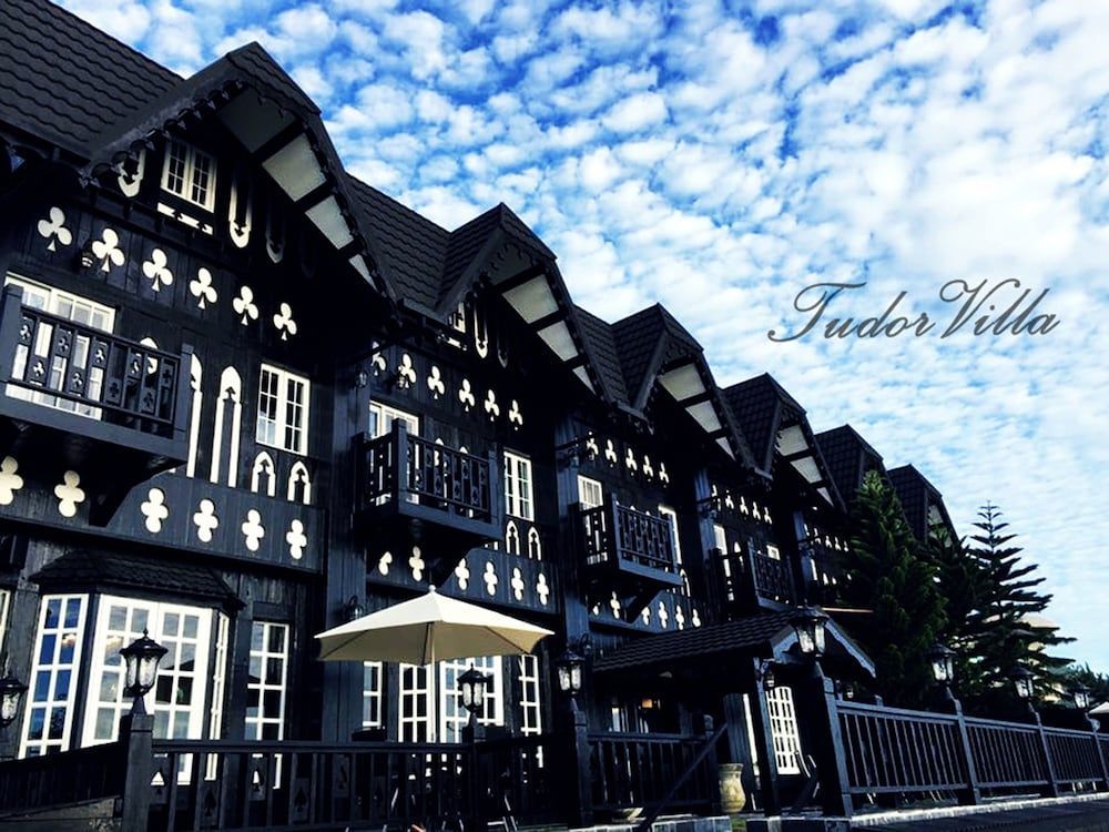 Tudor Dynasty 1