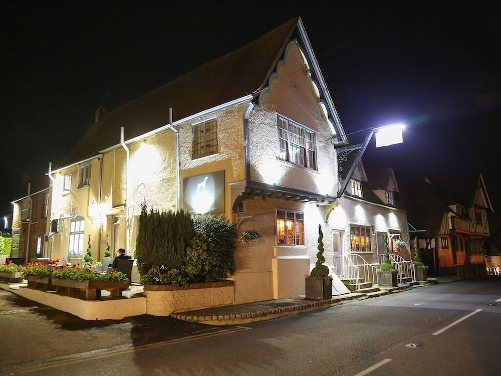 The Dog At Wingham 1