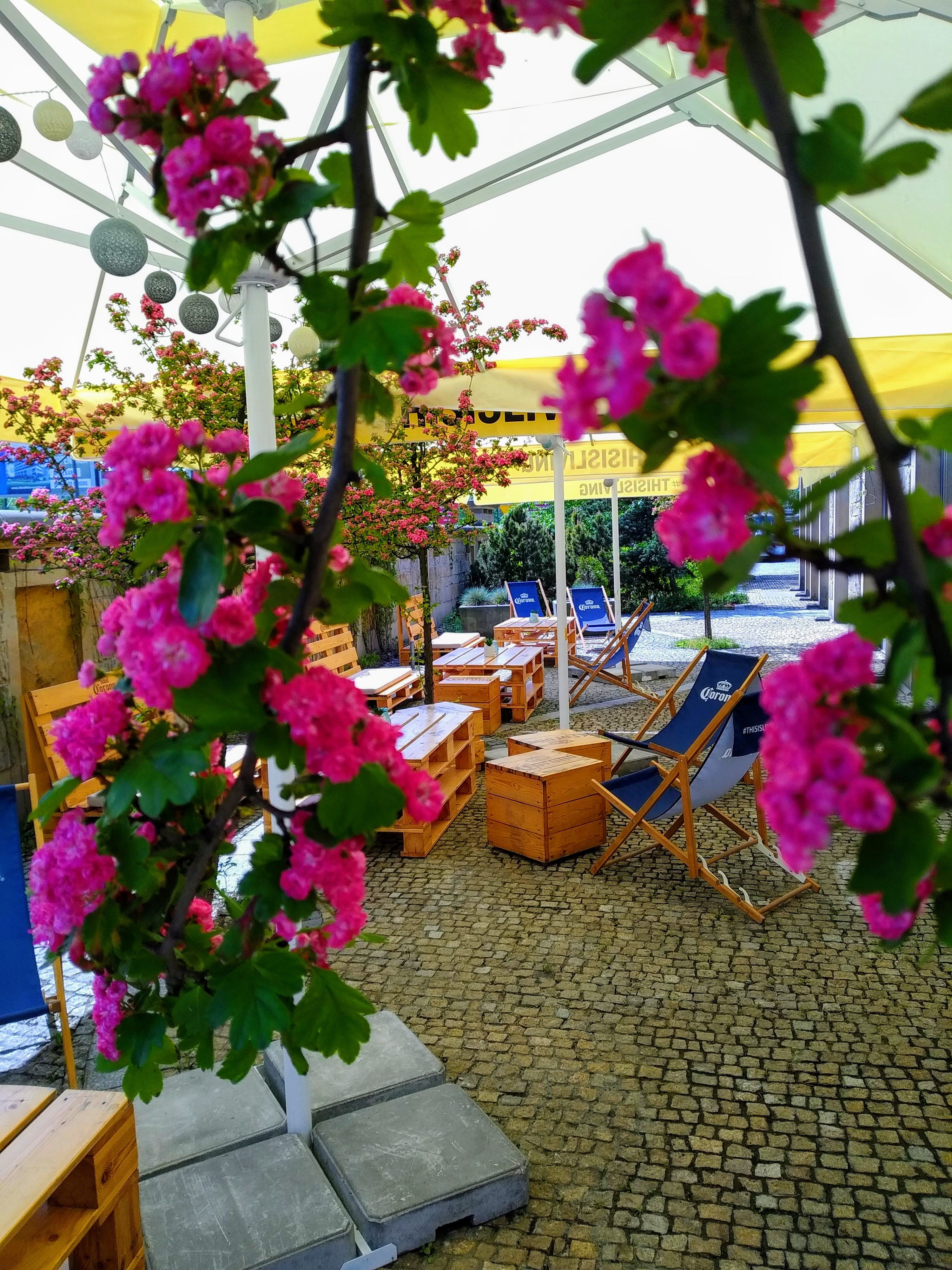 Sympozjum Hotel & Spa 1