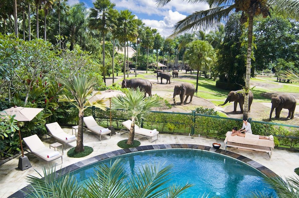 Mason Elephant Lodge 1