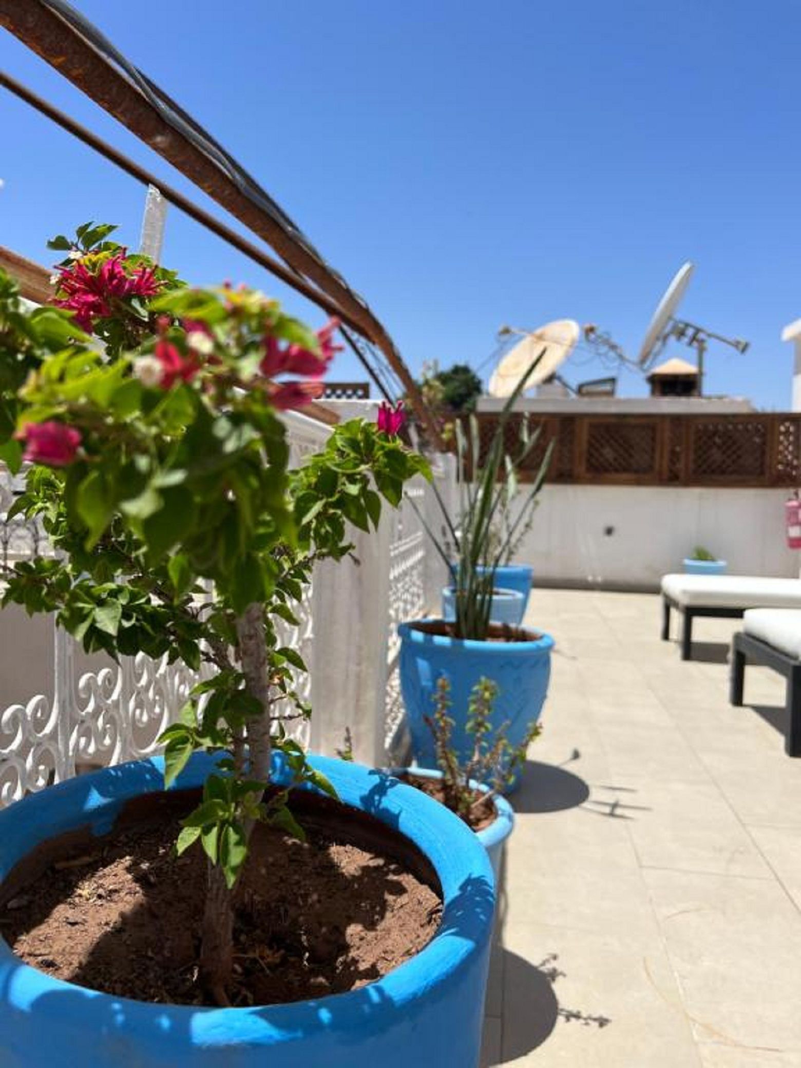 Riad Excellence 1