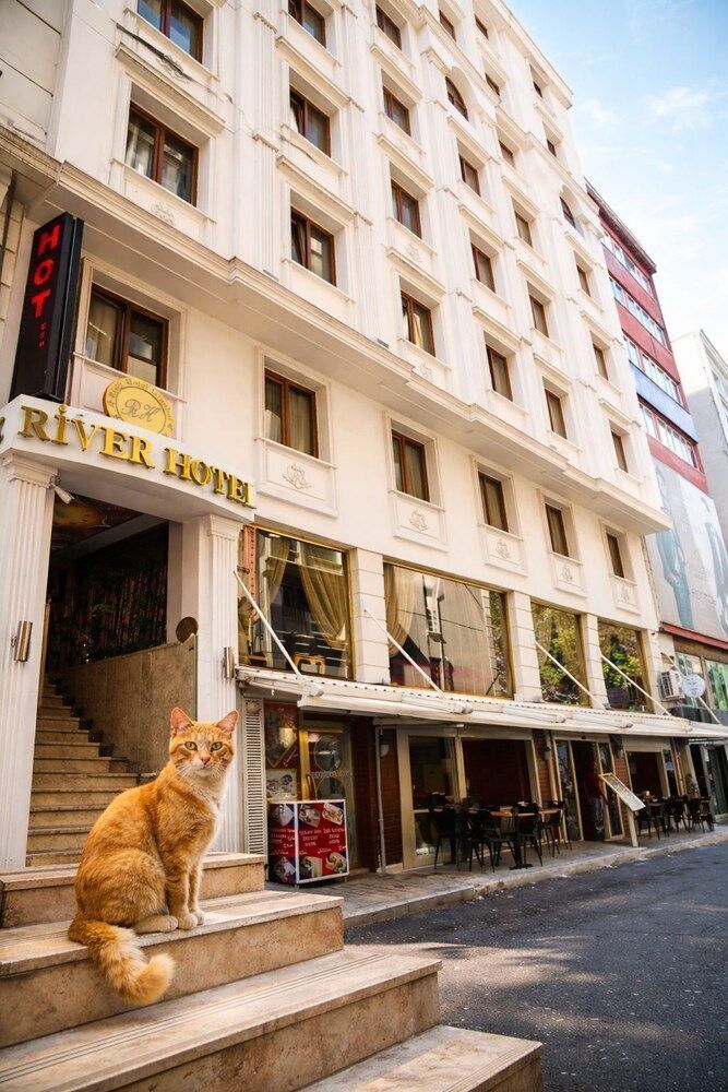 Istanbul River Hotel 1