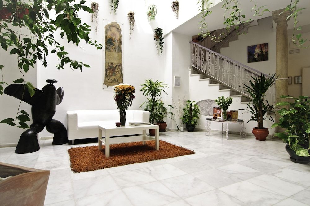 Un Patio al Sur 2