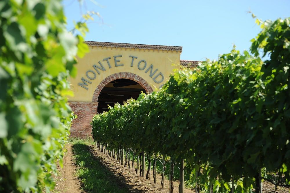 Monte Tondo Winery 1
