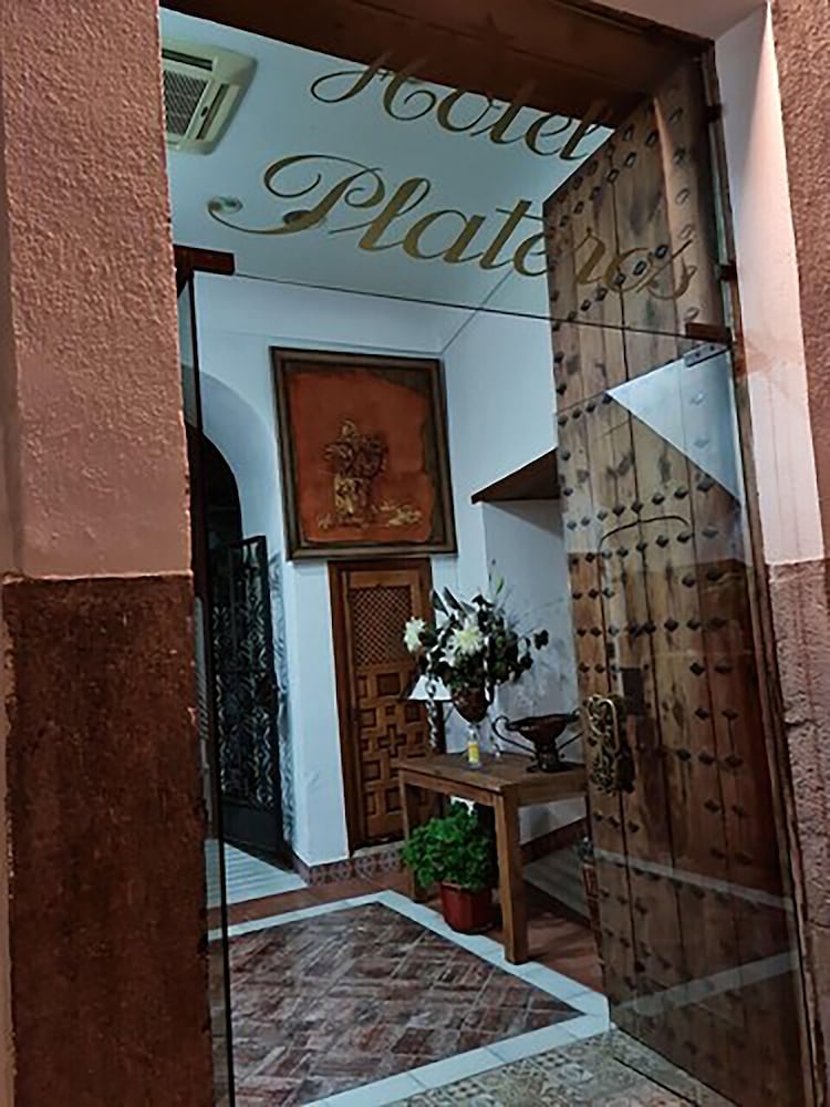 Hotel Plateros 2