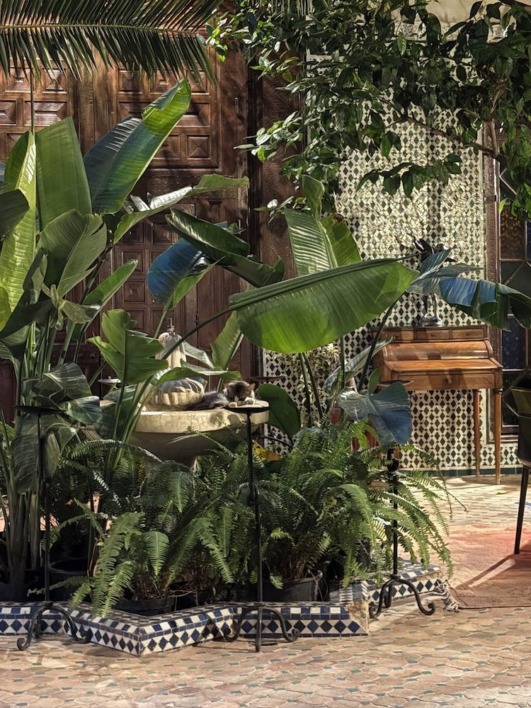 Riad Harmattan 1