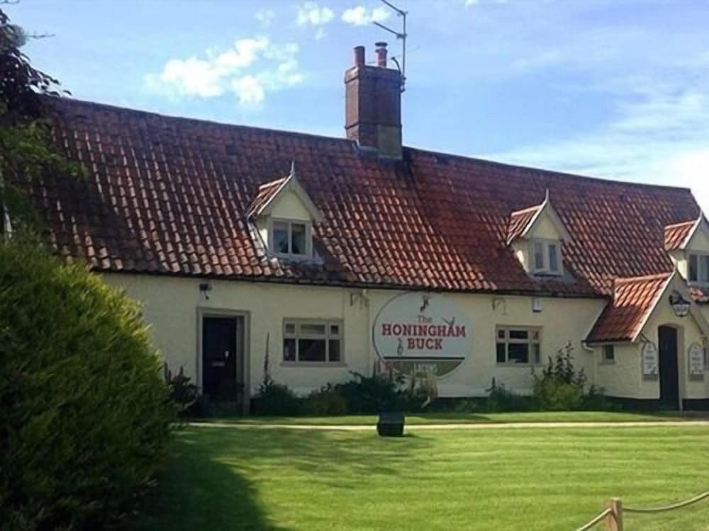The Honingham Buck 1