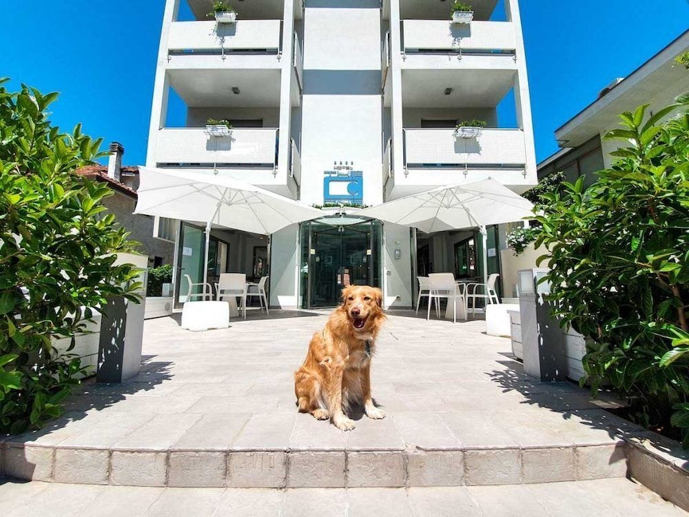 The One Hotel - Designed for Adults - Pet lovers 1