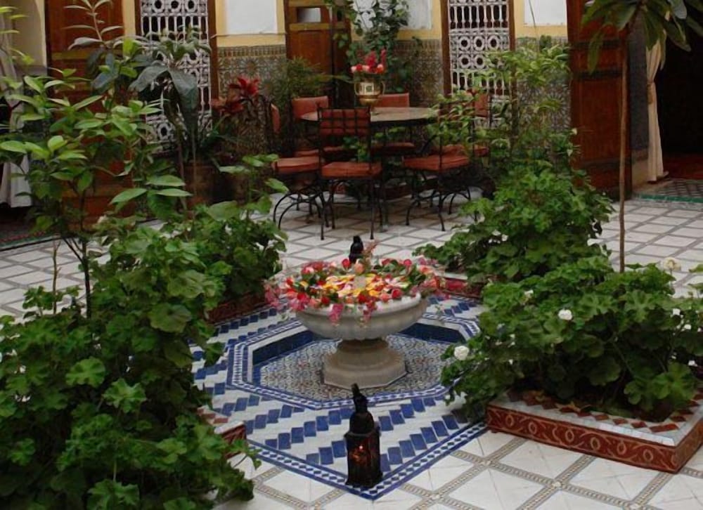 Riad Dalia 1
