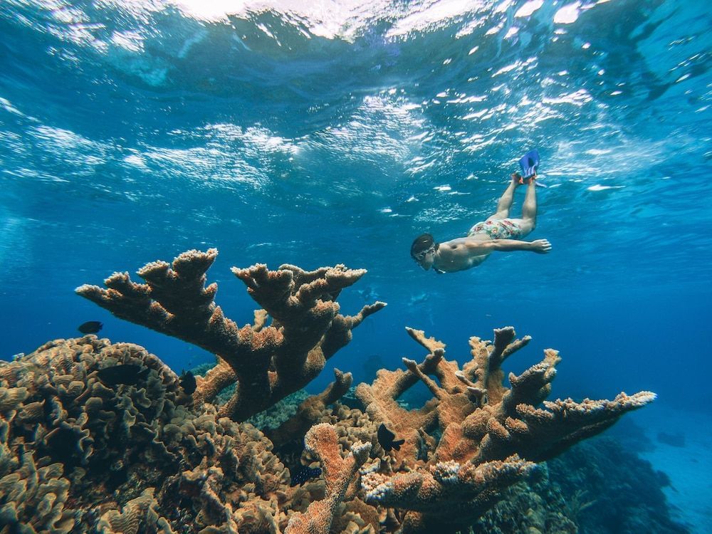 The Explorean Cozumel All Inclusive 1
