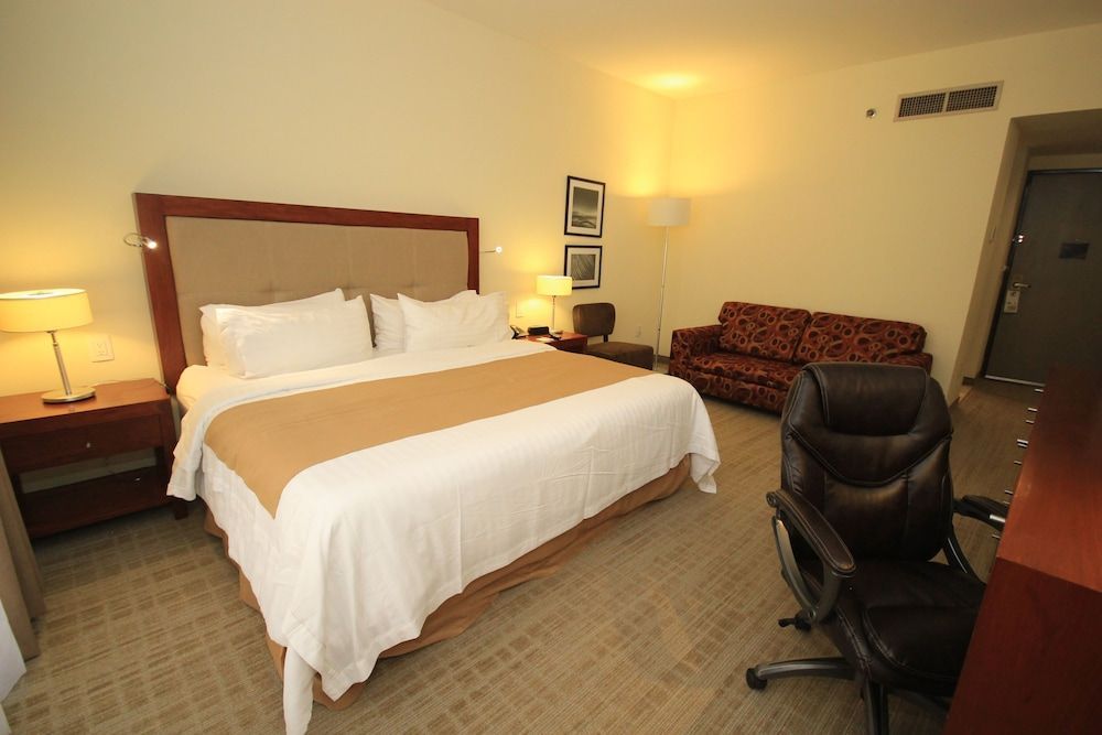 Holiday Inn LEON by IHG 2