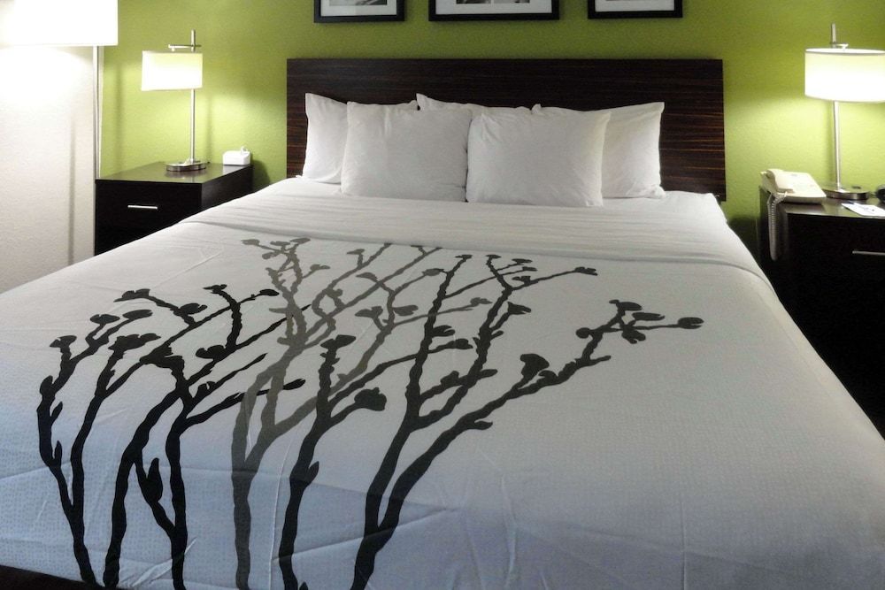 Sleep Inn & Suites Near Columbus - State University Area 2