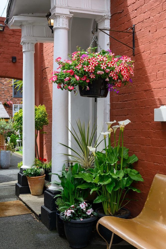 Darwins Townhouse 2