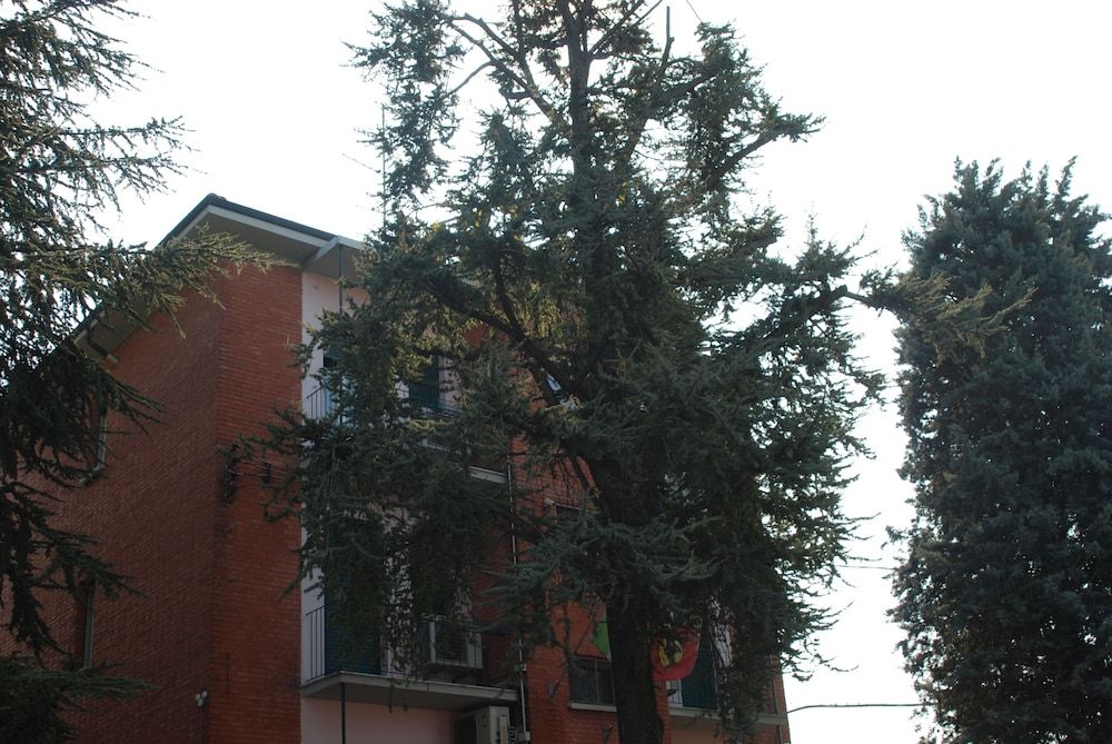 Hotel Tuscolano 1