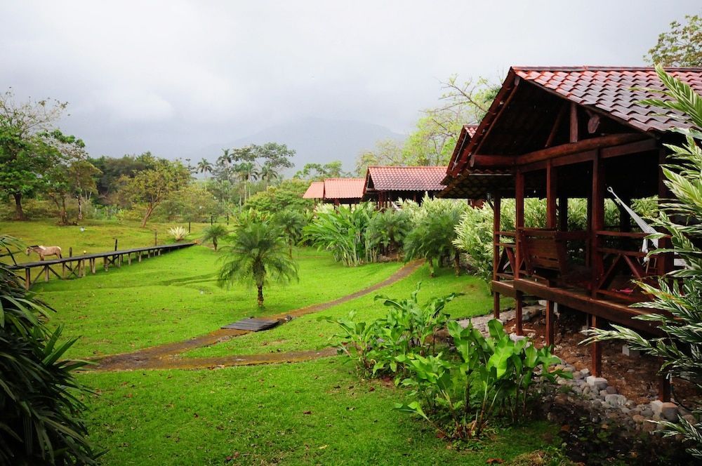La Anita Rain Forest 1