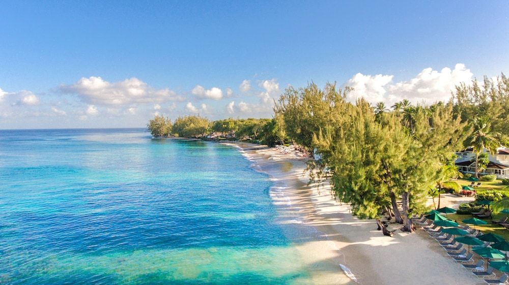 Coral Reef Club 1
