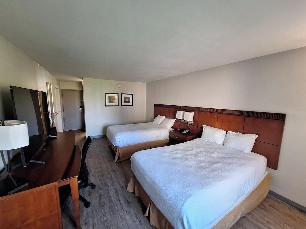 The Hotel Orange 1
