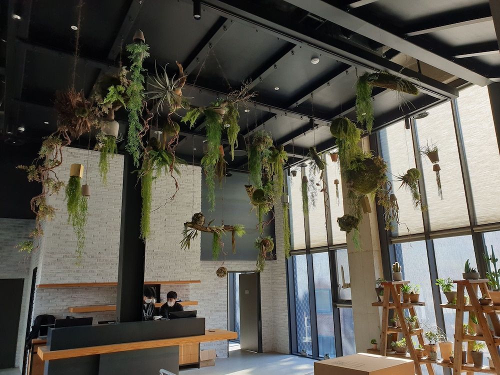 Junibino Hotel Hongdae 2