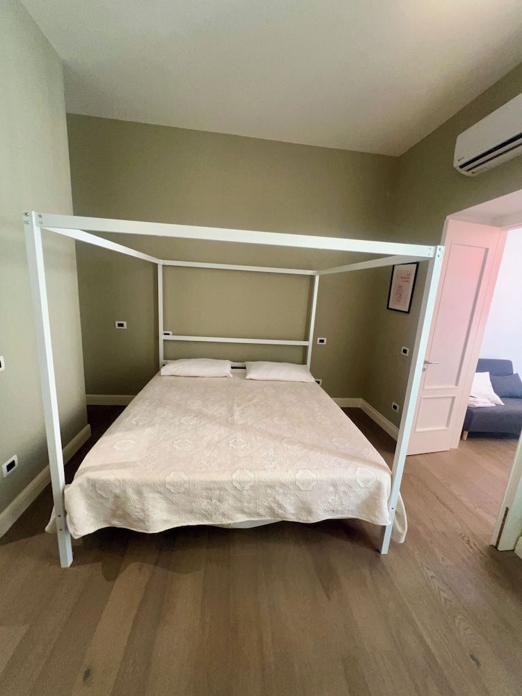 Lion Suite 2