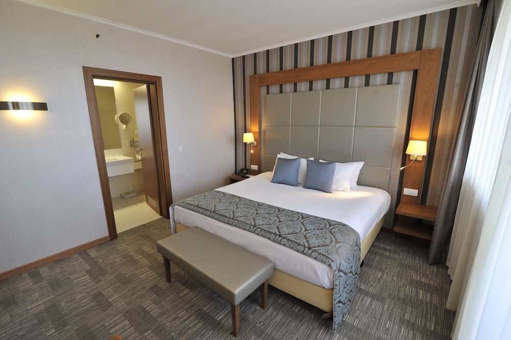 Holiday Inn SKOPJE by IHG 2