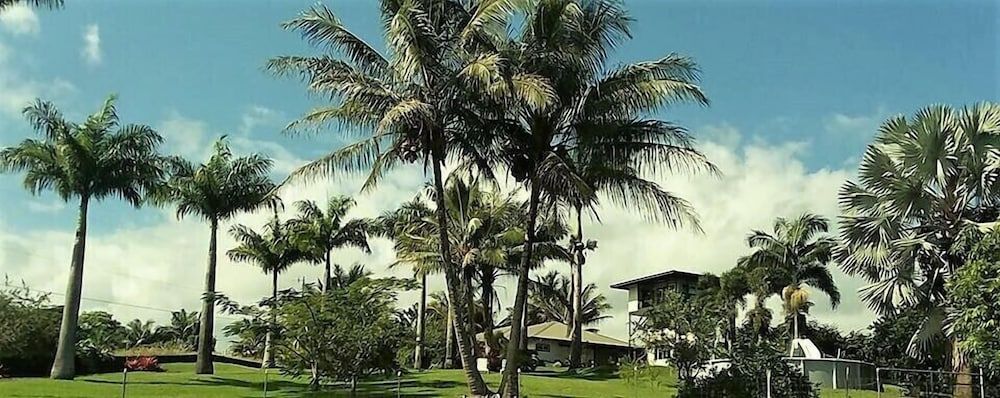Island Goode's - Luxury Adult Only Accommodation near Hilo 1