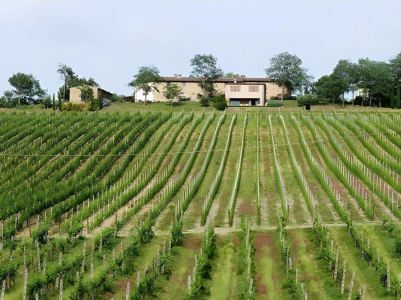 Il Rosolaccio 2