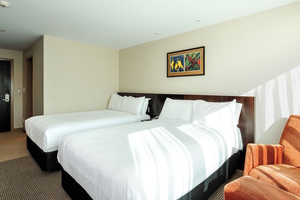 Copthorne Hotel Oriental Bay Wellington 2