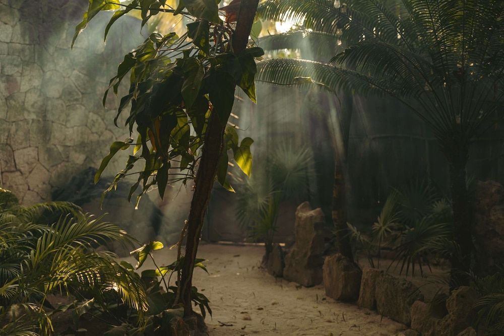 Ether Tulum 1
