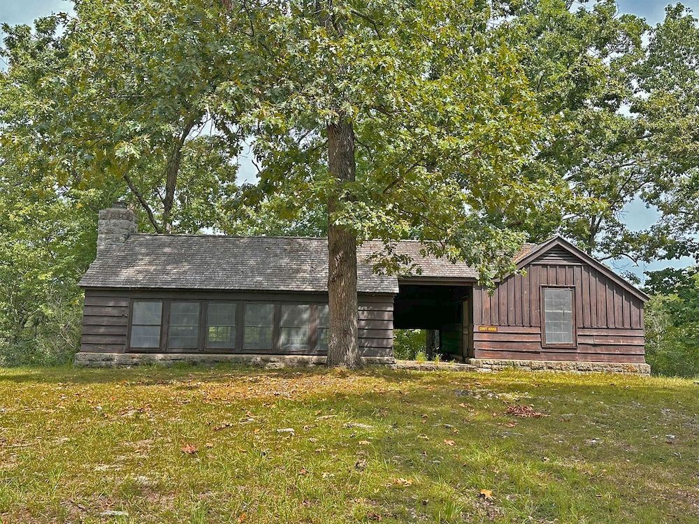 Pin Oak 1