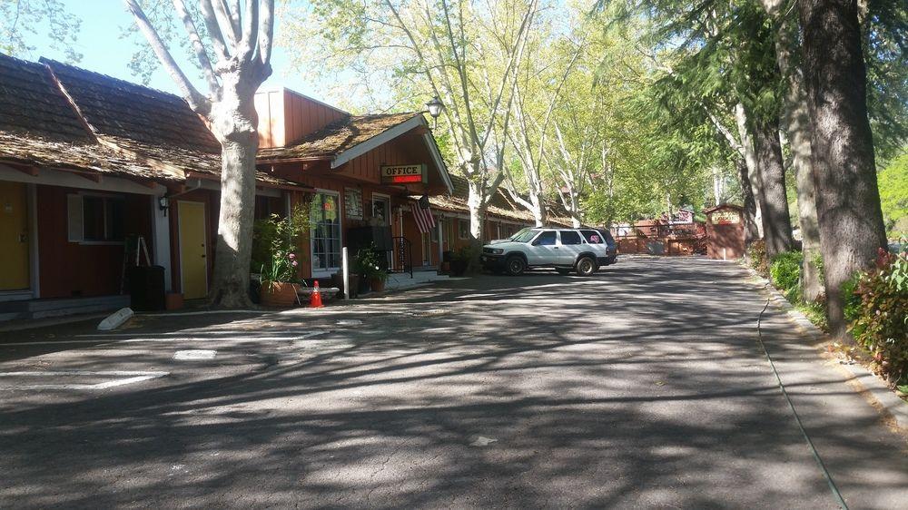 The Gold Lodge 2