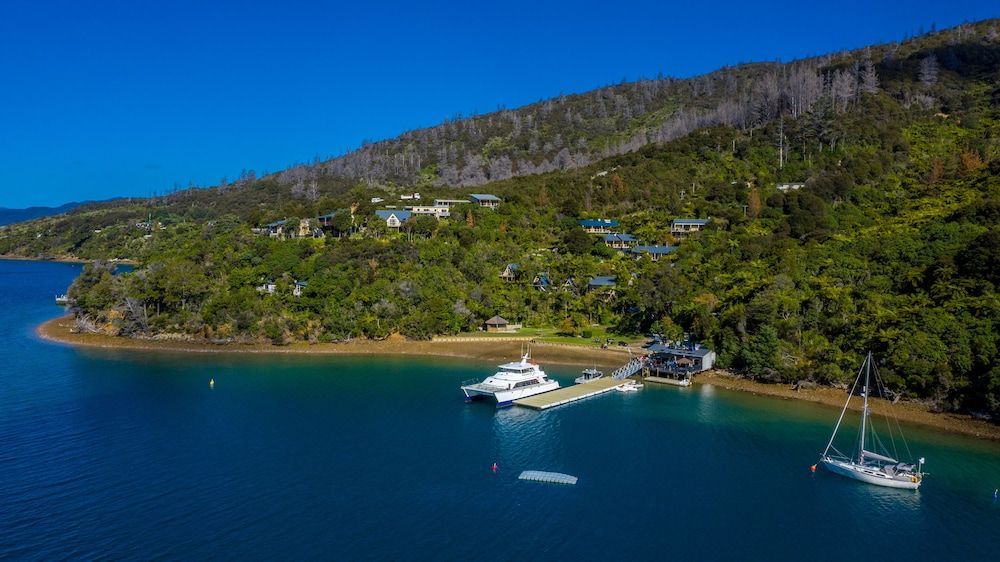 Punga Cove Resort 1