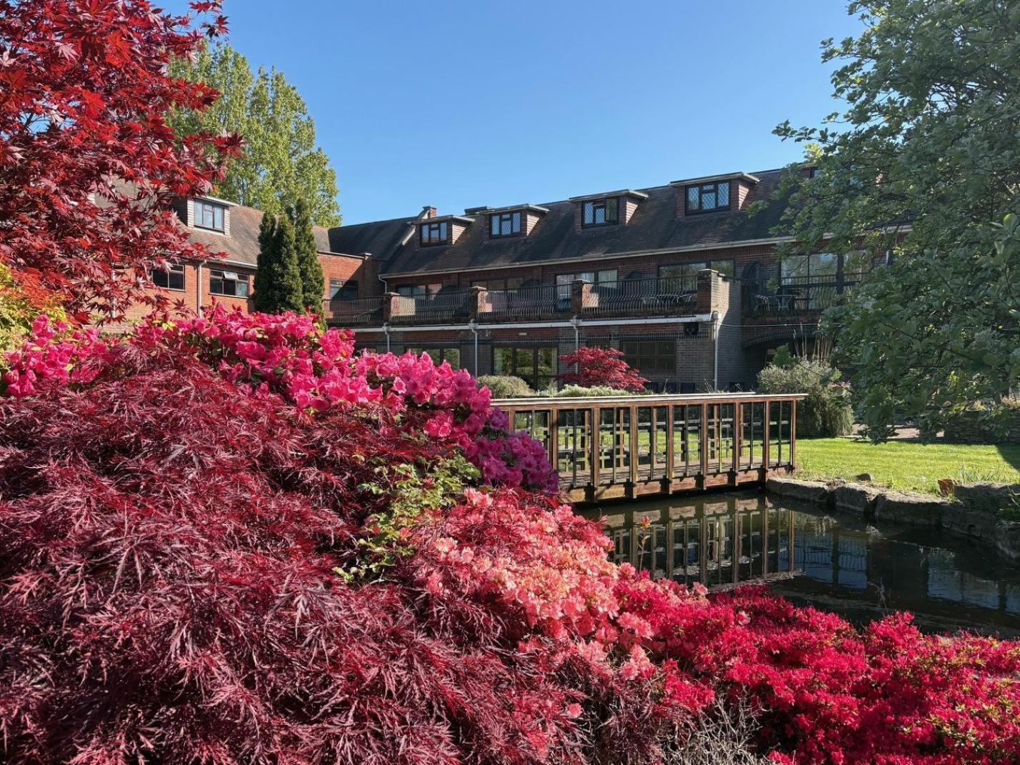 Springfield Country Hotel, Leisure Club & Spa 2
