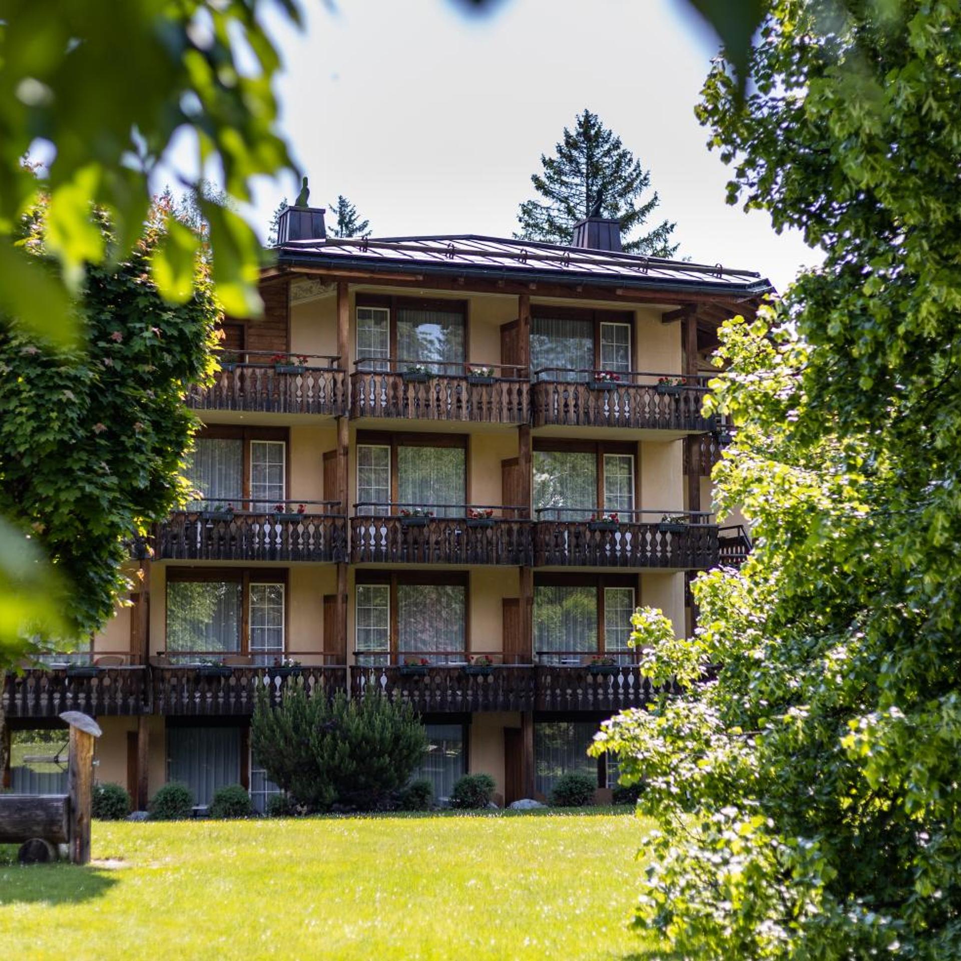 Soldanella by Hotel Adula 2