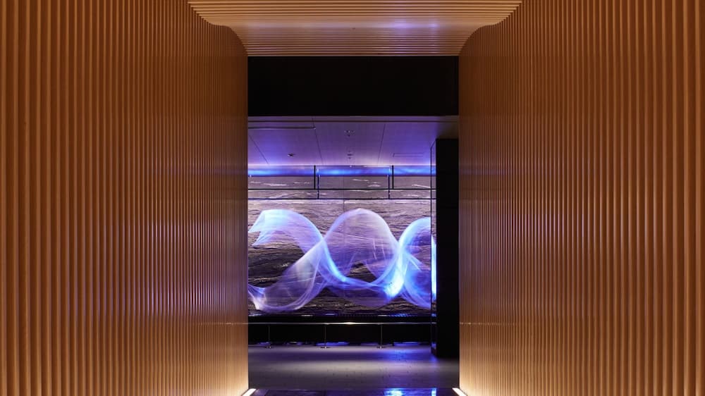 THE THOUSAND KYOTO 2