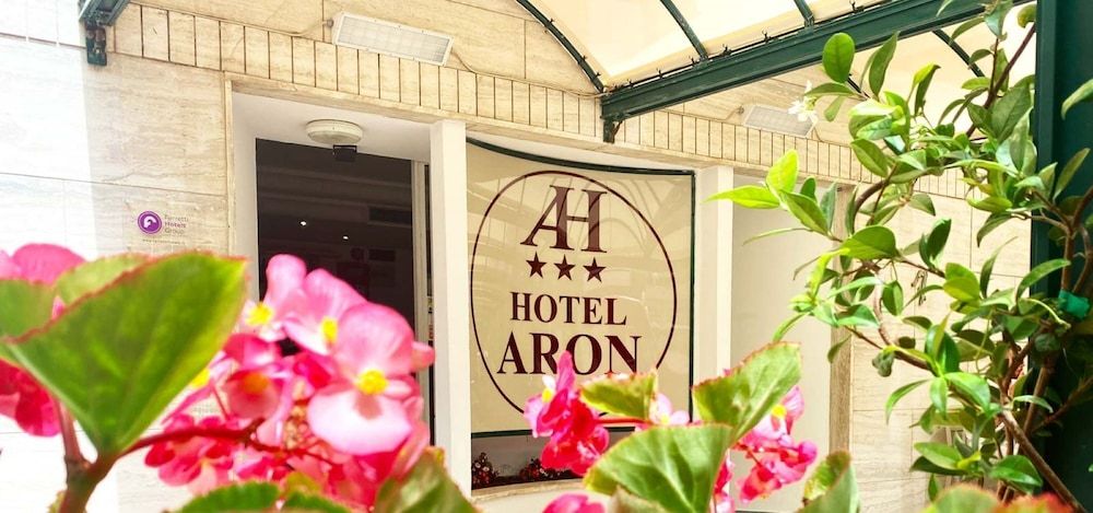 Hotel Aron Rimini 1